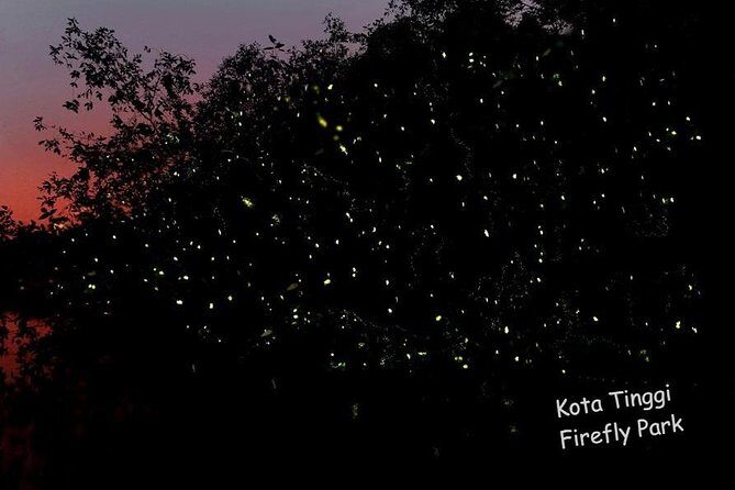 Johor Tour Ends in Singapore - Ostrich Farm, Beach, Waterfall, Fireflies [Car] - Final Thoughts: Is It Worth It?