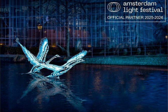 Join Our Magical Amsterdam Light Festival Cruise with Drinks! - Key Points