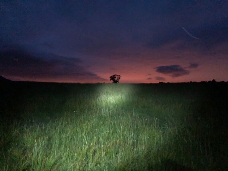 Join the Dark Side of Magical Nature - Authentic Experiences and Practical Insights