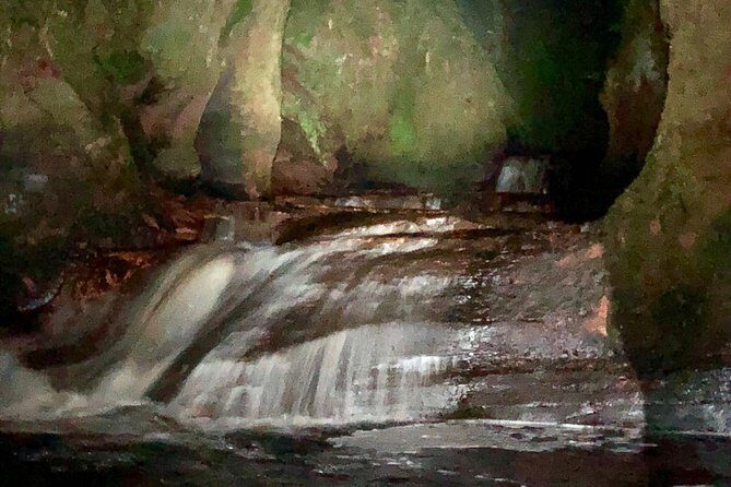 Join the Dark Side of Magical Nature - Who Would Love This Tour?