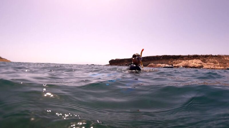 Join us on a snorkel boat tour - A Detailed Look at the Snorkel Boat Tour