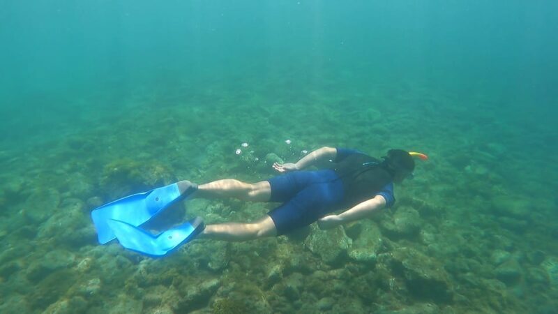 Join us on a snorkel boat tour - FAQs