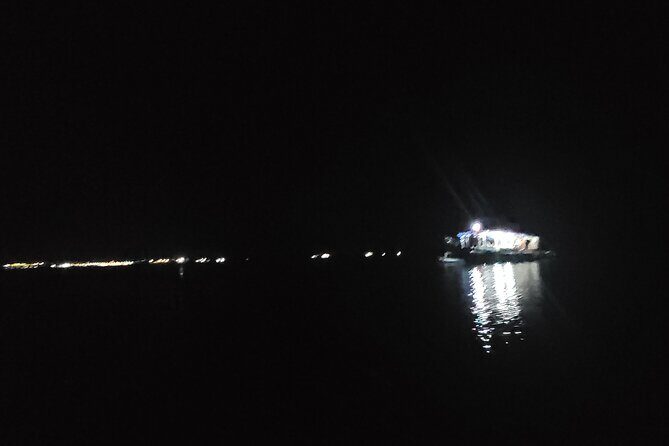 Joiners Firefly Watching Tour - Palawan Firefly Watching Tour: An Unforgettable Night in Nature