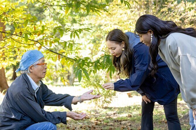 Jomon 2-Day Historical Spirits Tour - Discover the Spirit of Peace and Creativity on the Jomon 2-Day Historical Spirits Tour in Nagano
