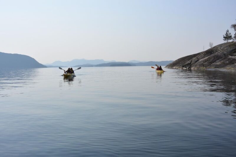 Jørpeland: Guided fjordtour kayak - Key Points