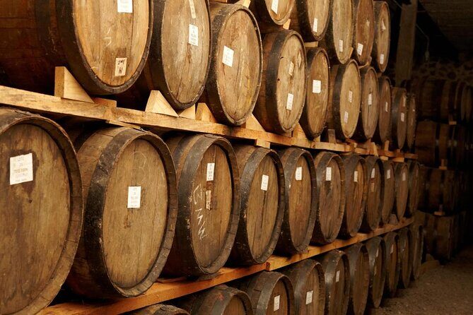 José Cuervo Tequila Day Experience from Guadalajara - Key Points