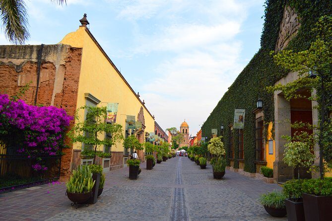 José Cuervo Tequila Day Experience from Guadalajara - What Makes This Tour Special?