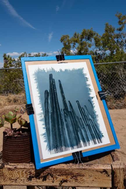 Joshua Tree: Cyanotype Sunprint Workshop - An In-Depth Look at the Cyanotype Sunprint Workshop