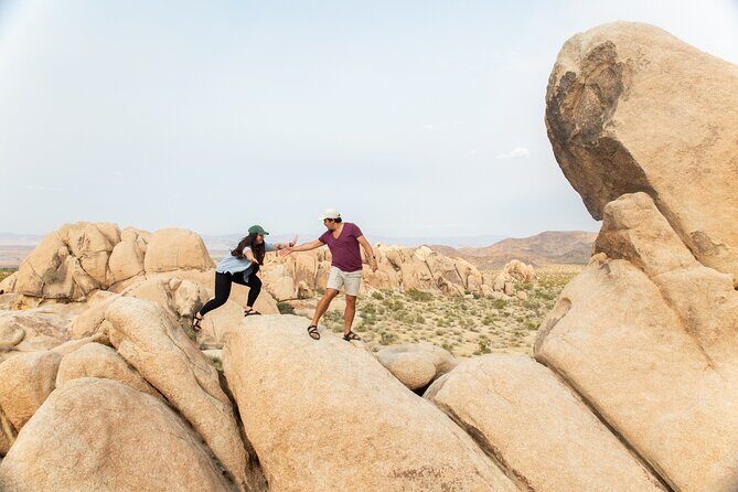 Joshua Tree Full Day Private Tour and Hike - Exploring the Joshua Tree Full Day Private Tour and Hike: An In-Depth Review