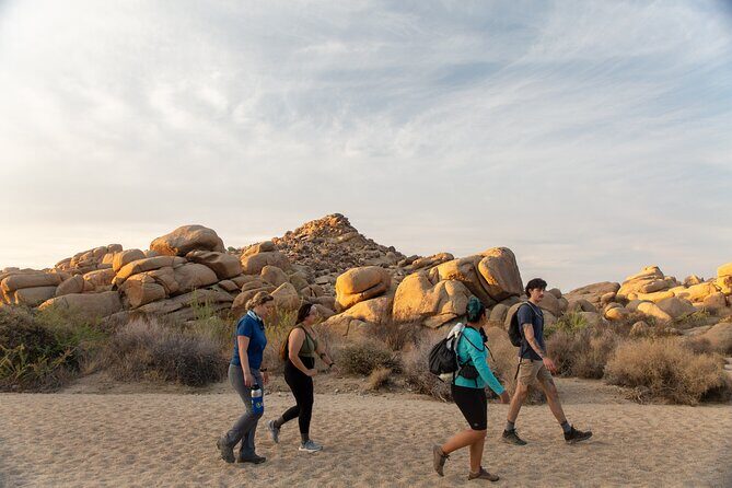 Joshua Tree Full Day Private Tour and Hike - Detailed Breakdown of the Tour Experience