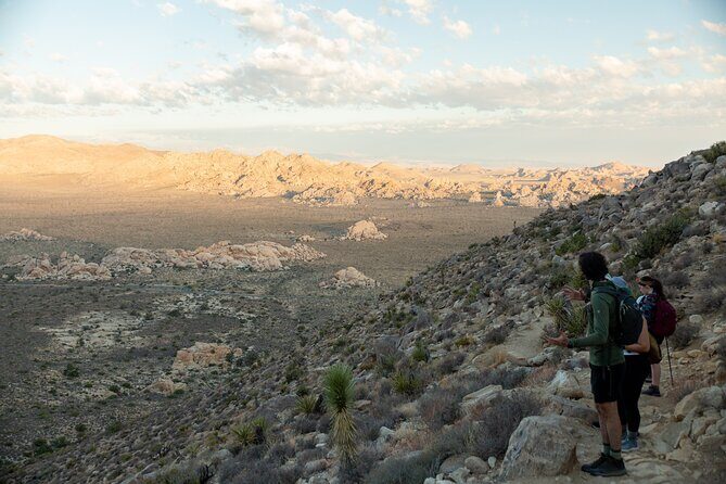 Joshua Tree Half Day Private Sunrise Hike - An In-Depth Look at the Joshua Tree Sunrise Hike