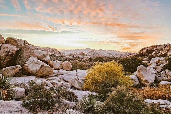 Joshua Tree National Park and Pioneertown Tour - FAQ