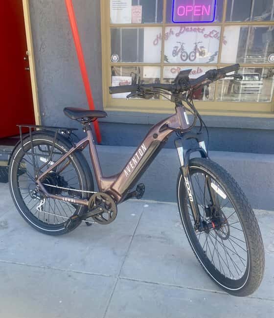 Joshua Tree National Park: E-Bike Rental - Who Should Consider This?