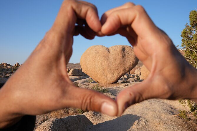 Joshua Tree National Park Private Adventure from Los Angeles - How Does This Tour Offer Value?