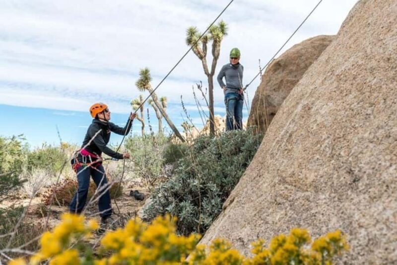 Joshua Tree National Park: Private Rock Climbing Trip - Key Points