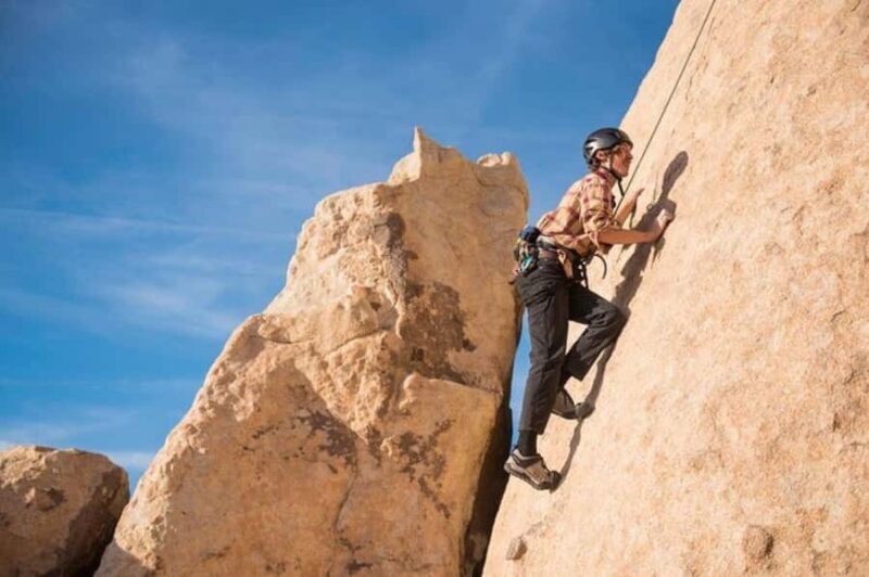 Joshua Tree National Park: Private Rock Climbing Trip - An Honest Look at Joshua Tree Private Climbing Tours