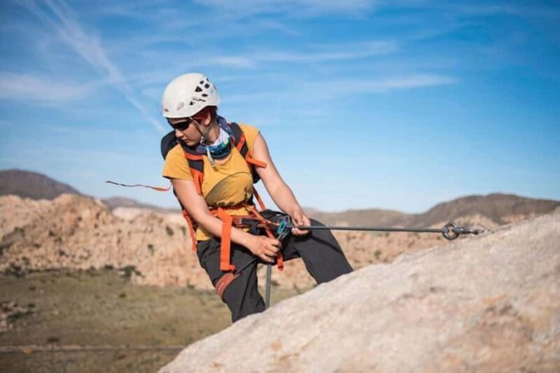Joshua Tree National Park: Rappelling Experience - Price and Value Considerations