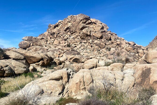 Joshua Tree Natural Wonders Walk: Plants, Animals and Rocks - Detailed Review of the Joshua Tree Natural Wonders Walk
