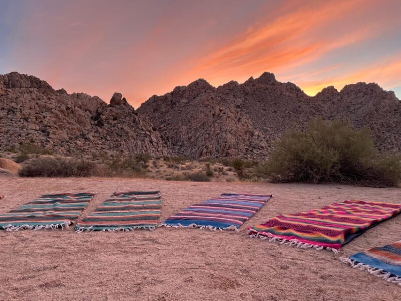 Joshua Tree: Soundbath Under The Stars - Key Points