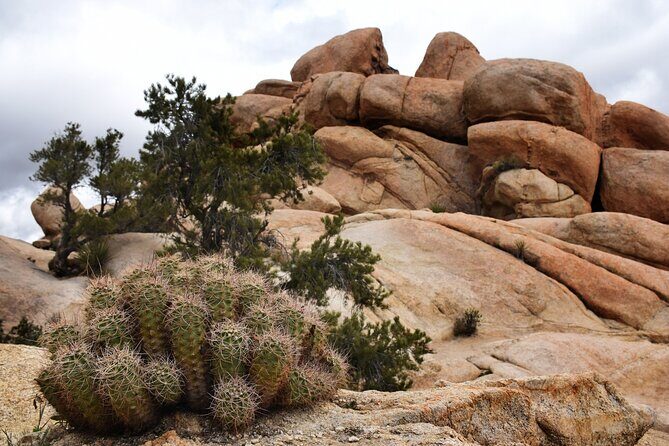 Joshua Tree's Hidden Valley Self-Guided Walking Tour - Why This Tour Offers Great Value
