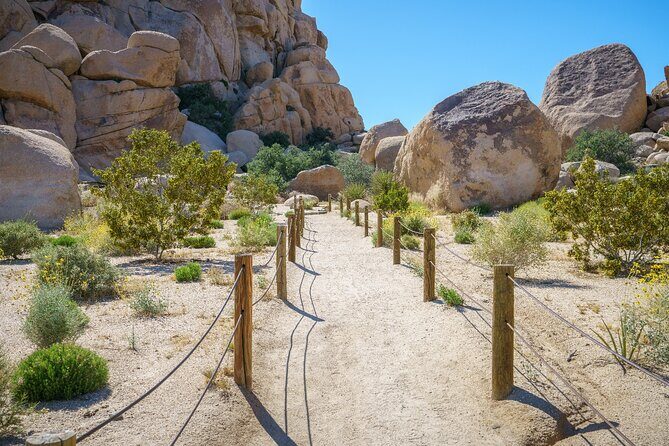 Joshua Tree's Hidden Valley Self-Guided Walking Tour - Frequently Asked Questions
