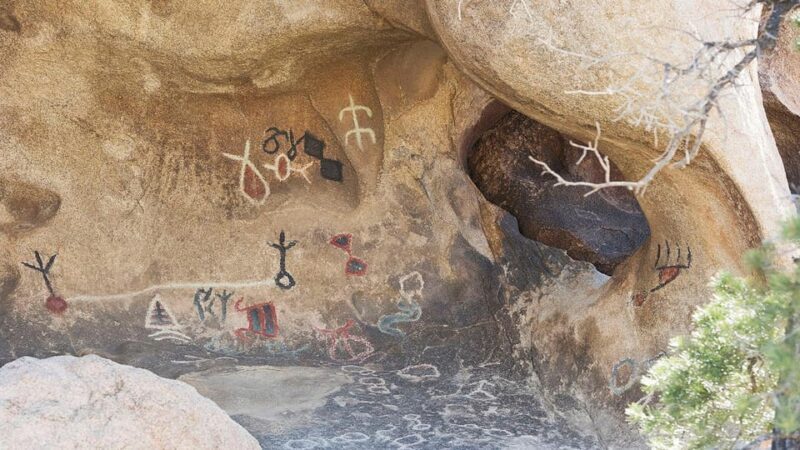 Journey into Joshua Tree: Audio Driving Tour and Local Guide - The Sum Up