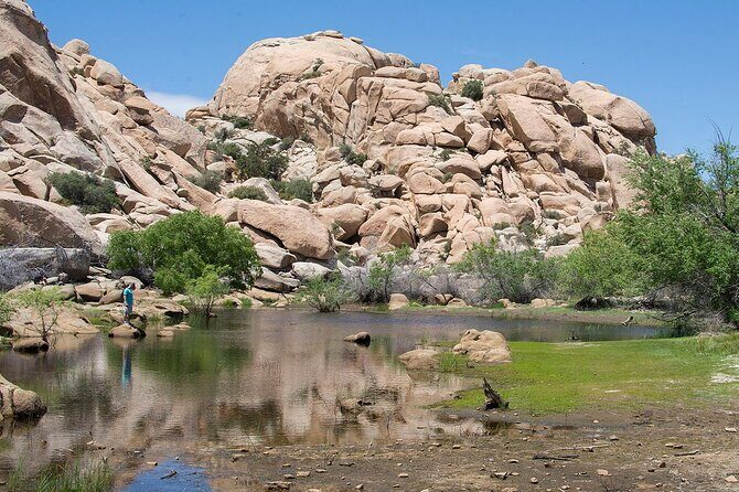 Journey into Joshua Tree Audio Tour and Locals Guide - Detailed Review of the Joshua Tree Audio Tour Experience