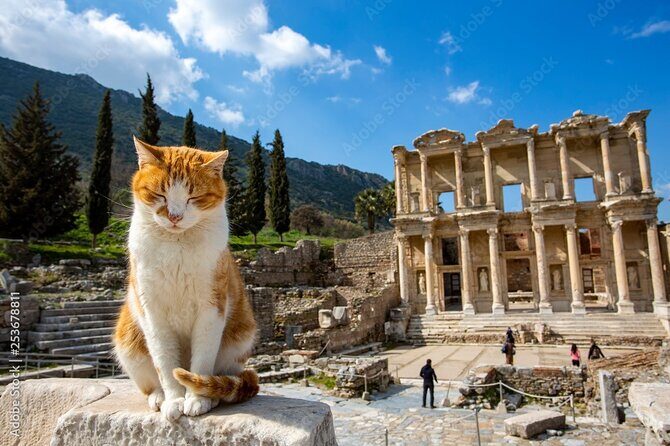 Journey to Ancient Wonders: Explore Ephesus with a Private Tour - Value and Pricing Analysis