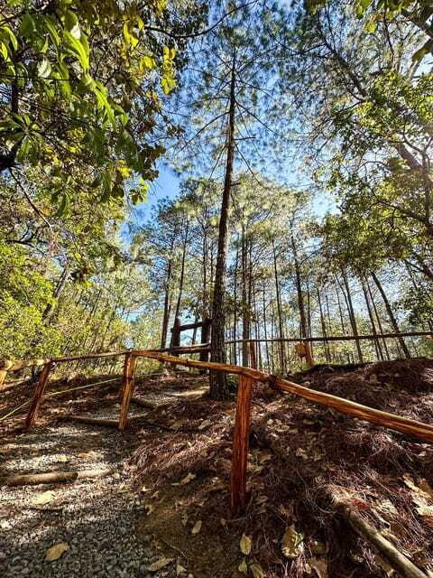 Juárez Highlands: Ecotourism and Workshop Experience - Who Will Enjoy This Tour?