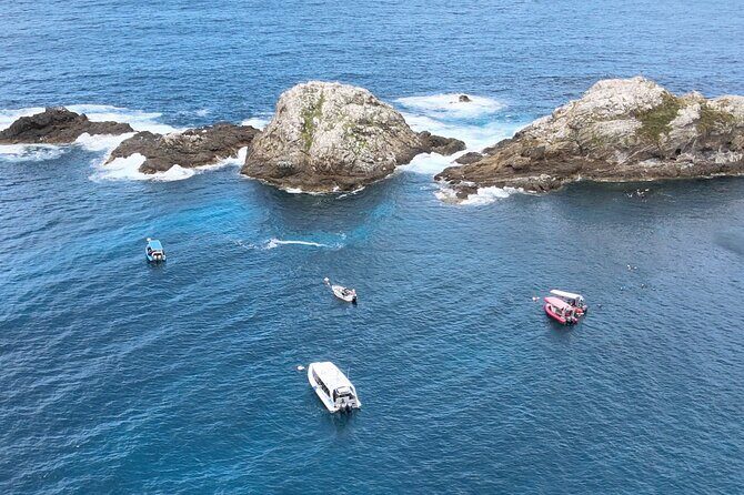 Julian Rocks: Premier Snorkeling Tour Byron Bay - The Sum Up: Is It Worth It?