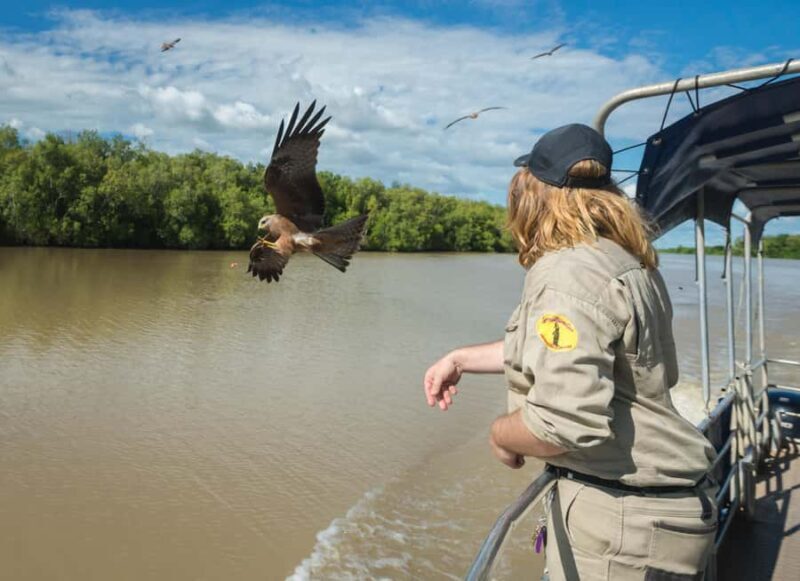 Jumping Crocodile Cruise from Darwin Half-Day Scenic Trip - FAQ