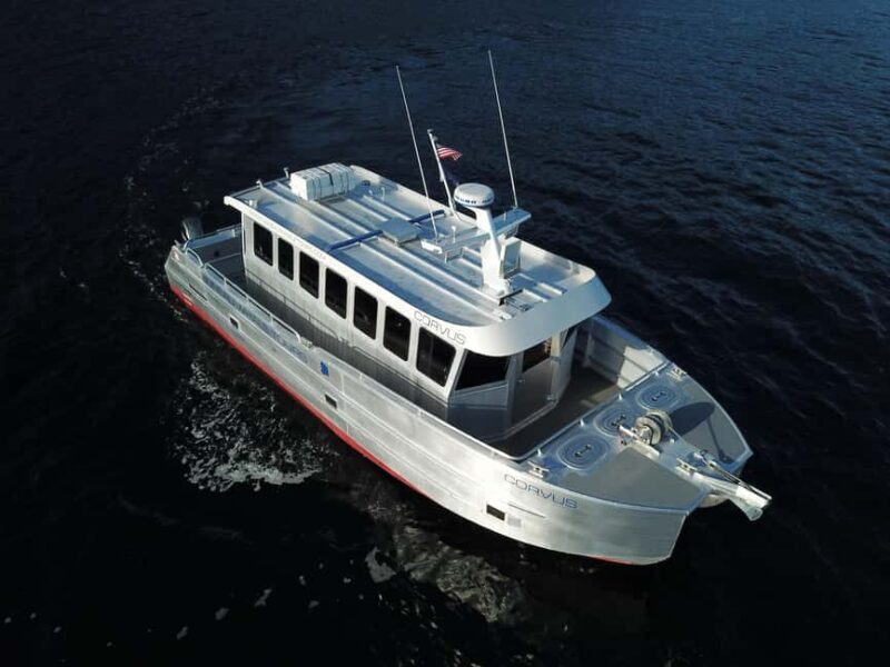 Juneau: 3.5-Hour Small Group Whale Watching Tour - The Itinerary in Detail