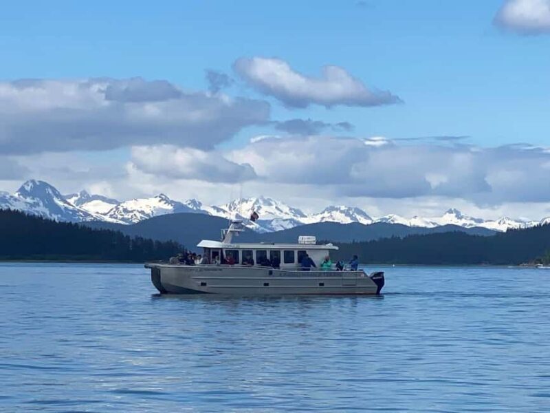 Juneau: 3.5-Hour Small Group Whale Watching Tour - The Experience from a Traveler’s Perspective