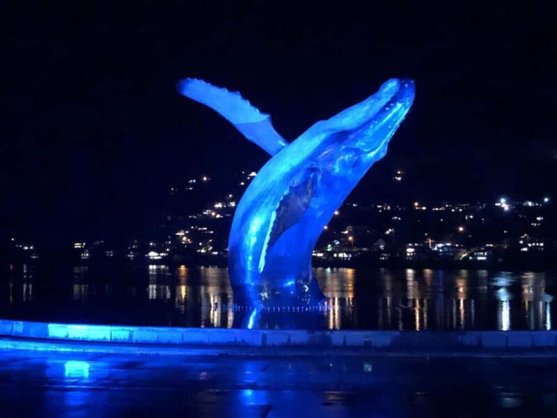 Juneau 3 Hour Scenic Road Trip Excursion - An In-Depth Look at the Juneau 3-Hour Scenic Road Trip