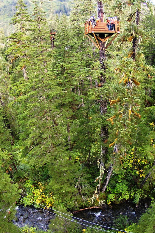 Juneau: Alpine Zipline Adventure - Who Should Consider This Tour?