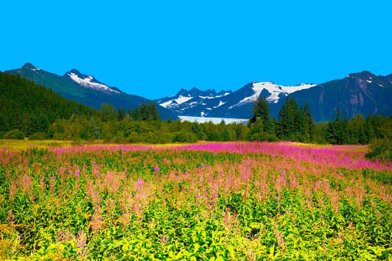 Juneau: City Highlights Bus Tour - Frequently Asked Questions