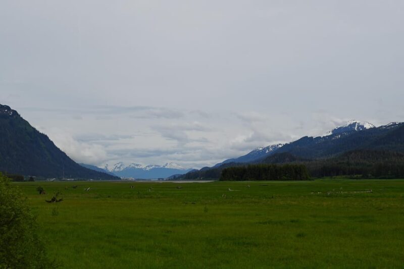 Juneau: City Highlights Bus Tour - Who This Tour Is Best For