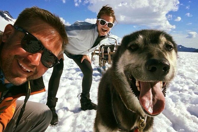 Juneau Helicopter and Dogsledding with Added Glacier Landing - Authentic Reviews That Highlight the Tours Strengths