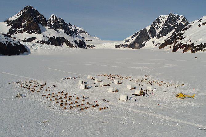 Juneau Helicopter and Dogsledding with Added Glacier Landing - Final Thoughts