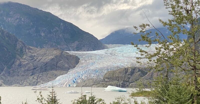 Juneau: Mendenhall Glacier and Whale Watching Tour - Authentic Encounters and Review Highlights