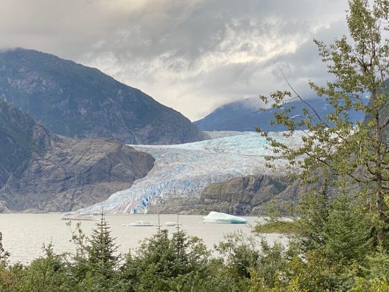 Juneau: Mendenhall Glacier and Whale Watching Tour - Authentic Experiences and What They Mean for You
