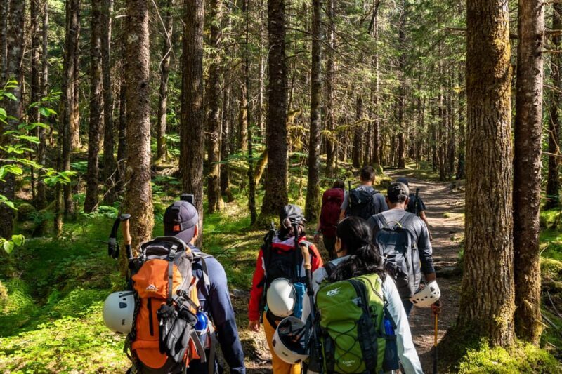 Juneau: Mendenhall Glacier Guided Trail Hike - Final Thoughts: Is It Worth It?