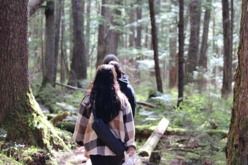 Juneau: Mindfulness in the Wilderness - Why This Experience Offers Value