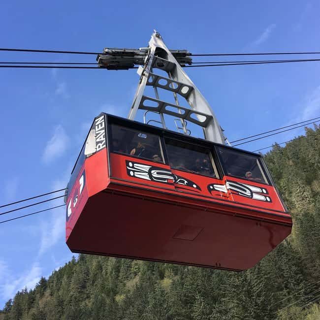 Juneau: Mount Roberts Tram Ride with App and Map - Practical Considerations and Tips