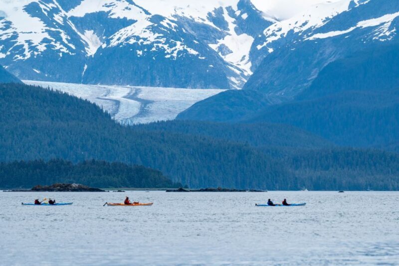 Juneau: Paddle with Whales Kayak Adventure - An In-Depth Look at the Experience