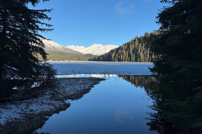 Juneau Private 3 Hour Sightseeing Tour with a Local - Who Should Book This Tour?