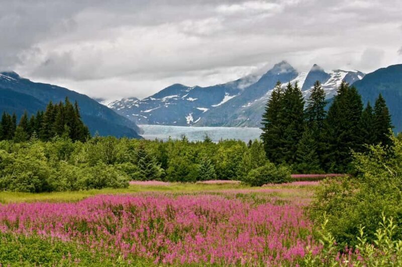 Juneau: Private Bike Tour with Glacier Views & Hatchery Stop - Why This Tour Offers Great Value