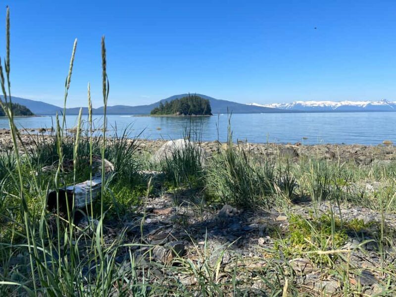 Juneau: Rainforest Photo Safari on a Segway - Who Should Consider This Tour?