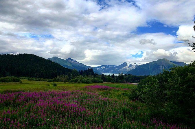 Juneau Shore Fishing and Glacier View Stop - The Sum Up