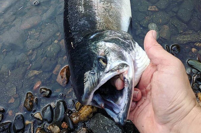 Juneau Shore Fishing Shuttle and Gear - Weather and Gear Tips
